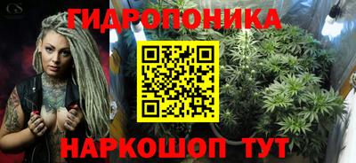 трава Кингисепп