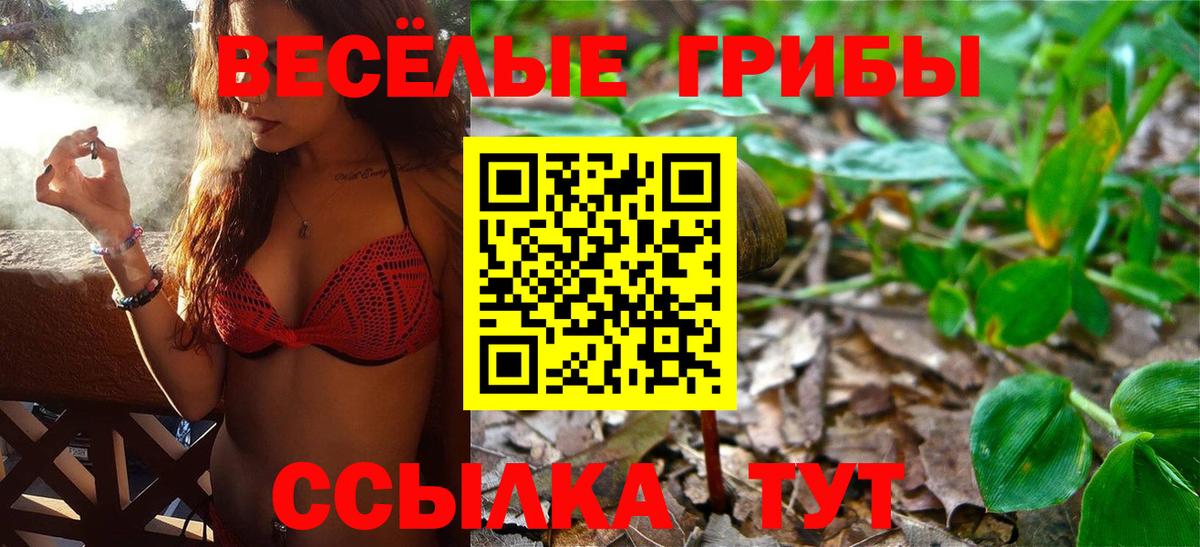 Псилоцибиновые грибы мухоморы  Вход с VPN  Кстово 